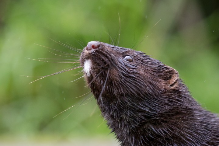 Wildlife photography centre-4