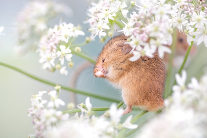 Wildlife photography centre-9